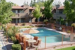 pet friendly scottsdale vacation rental