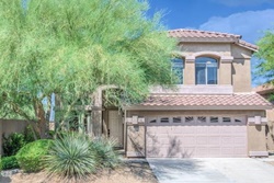 pet friendly scottsdale vacation rentals