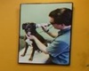 Raintree Pet Resort and Medical Center pet friendly pet care in Scottsdale, Arizona
