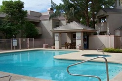 pet friendly scottsdale vacation rental